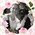 Lois V. McMichael's profile image
