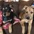 Karyn Levy Hawkenberry's profile image