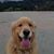 Robert Brichacek's profile image