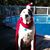 Victoria Peters Dowling's profile image