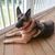 Gayle Wright- Smith's profile image