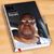 Alleyne Register-Bradley's profile image