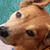 Tricia Weis McKay's profile image