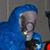 David Cashion's profile image