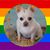 Tammi Mead Lamper's profile image