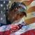 Joe Vieira's profile image