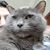 S Scotty Scottwards's profile image