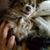 Maryanne Williams's profile image