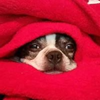 Jenny Raves's profile image