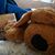 Melissa Missy Lauber's profile image