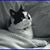 Neela Nelson's profile image