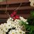 Lynn Daluge Brehmer's profile image