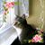 Karen Perras Cone's profile image