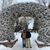 Isaiah Newcombe's profile image