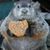 Jeff Perham's profile image