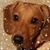 Karen Gainer's profile image