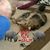 JoAnn Bartos-Messinger's profile image
