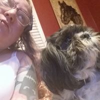 Brandy Sunshine Whittington's profile image