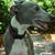 Sandy Smith's profile image