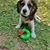 Michele Adair's profile image
