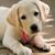 Deborah Frye Stern's profile image