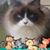 Susan Büchel Macanka's profile image