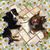 Kim Carpenter Whaley's profile image