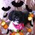 Sherry Rivas's profile image