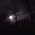 Connie Kling Kisner's profile image