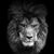 Leonardo Morentes's profile image