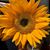 Anne-Marie Dionne's profile image