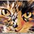 Claire Ann Londress's profile image