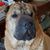 Marian Musgrove Latimer's profile image