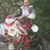 Jarron Farnsworth's profile image