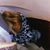 Kateryna Levchuk's profile image