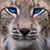 Ray Smith Sr's profile image