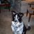 Lisa Marie's profile image