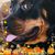 Sherry Lynn's profile image