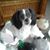 Clarise Canfield's profile image