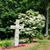 Dorothy Wyant Crocker's profile image
