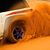 Waleed Ramadan's profile image