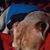 Donny Heath's profile image