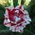 Ami Strzelecki's profile image