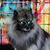 Denise Sharp's profile image