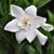 Kathy Pearson's profile image