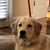Cindy Hurley's profile image
