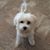 Sue Gary's profile image