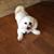 Rickey DiVito's profile image