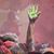 Amy Plambeck's profile image