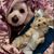 Dianne Bonitz's profile image